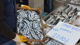 Kıyıda avlanan hamsi yüz güldürdü