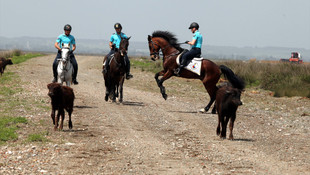 Kızılırmak Deltası'nı atlı jandarma timleri  koruyacak