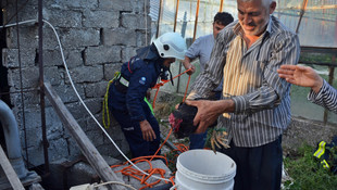 Kuyuya düşen horozu itfaiye kurtardı