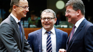 Macaristan'dan Gürcistan ve Ukrayna'ya vize muafiyeti desteği