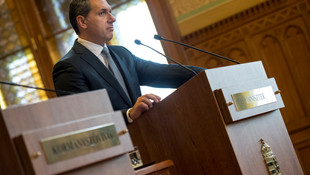 Macaristan'dan Soros'a suçlama