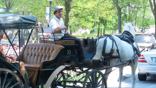 Kanada’da turistik faytonlar yasaklandı