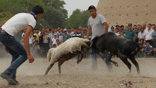 Özbekistan'da İpek ve Baharat Festivali başladı