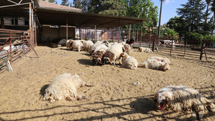 Kilise yine roket mermisi düştü!