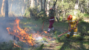 Tekirdağ'da orman yangını