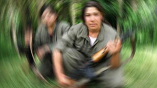 Hakkaride bir terörist teslim oldu