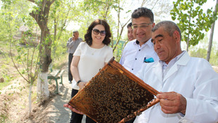 TİKA'dan Özbekistan'a arıcılık desteği