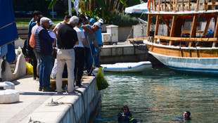 Uluslararası Kıyı Temizliği Kampanyası