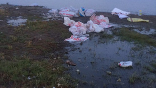 Van'da inci kefali operasyonu