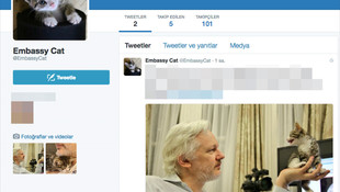 Wikileaks'in kurucusu Assange'a kedi yavrusu hediye edildi
