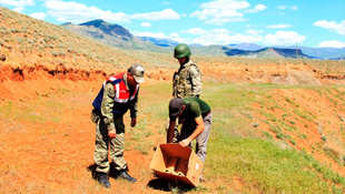 Yolda bulunan angut yavruları yuvalarına kavuştu