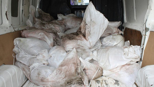 Yunanistan'dan getirilen yaklaşık 1 ton kaçak ete el konuldu