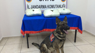 64 yaşındaki kadın 12 kilo esrarla yakalandı