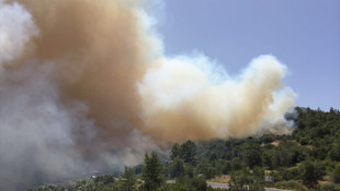 Adrasan'da orman yangını