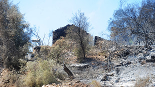 Adrasan'daki orman yangını