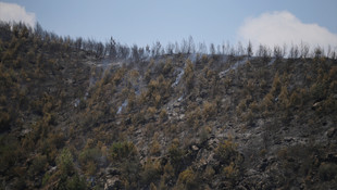 Adrasan'daki yangını karşı ateş söndürdü