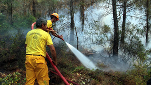 GÜNCELLEME - Alanya'da orman yangını