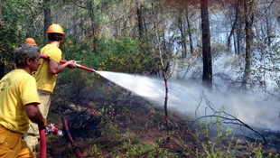 Alanya'da orman yangını