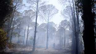 Antalya'da orman yangını