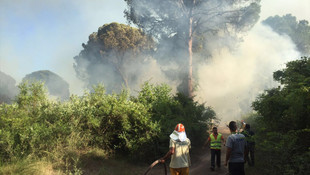 Antalya'da orman yangını