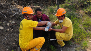 Antalya'da orman yangını
