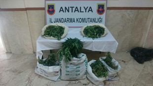 Antalya'da uyuşturucu operasyonu