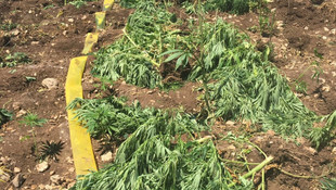 Antalya'da uyuşturucu operasyonu