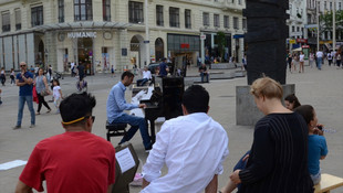 Avusturya'da piyanolu eylem