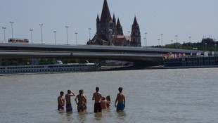 Avusturyalılar serinlemek için Tunaya akın etti