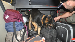 Aydın'da huzur operasyonu