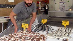 Balık fiyatları geriledi