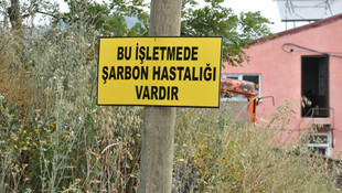 Balıkesir'deki şarbon hastalığı