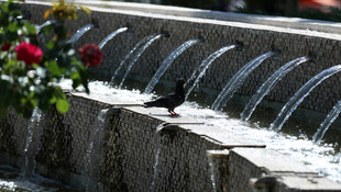 Başkentte sıcak hava