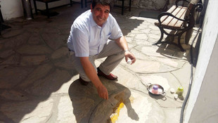 Beton üzerinde yumurta pişirdi