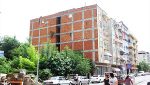 Binanın dış cephesinde incir ağacı yetişti