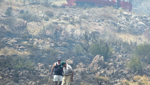 Bodrum'da makilik alanda yangın