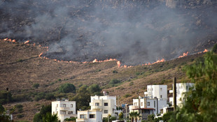 Bodrum'daki makilik alanda çıkan yangın