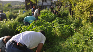 Bolu merkezli uyuşturucu operasyonu