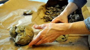 Budapeşte'de Müslüman mezarlığı bulundu