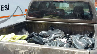 Çanakkale'de domuz eti ele geçirildi