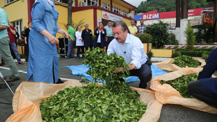 ÇAYKUR Genel Müdürü Sütlüoğlu: