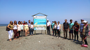 Deniz kaplumbağası yuvaları koruma altına alındı