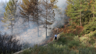 Denizli'de orman yangını