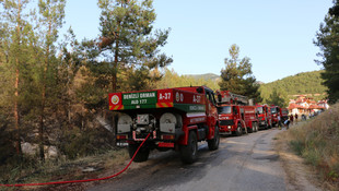 Denizli'deki orman yangını