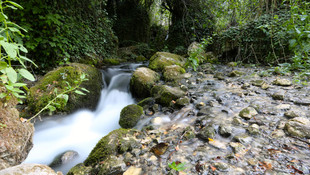Doğa harikası Zeyve Pazarı