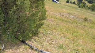 Domuz avında yanlışlıkla eniştesini vurduğu iddiası