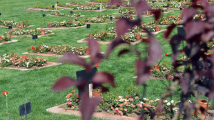 Dünya Mülteciler Günü