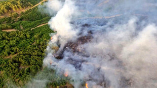 Edirne'deki orman yangını