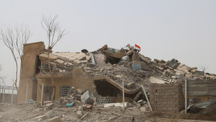 Felluce'nin DAEŞ'ten geri alınması