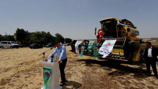 Gaziantep'te buğday hasadı başladı